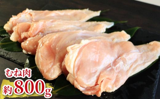 地鶏 愛媛 媛っこ地鶏 もも むね ささみセット 約1.7kg 鶏肉 鳥肉 肉 チキン むね肉 もも肉  焼肉 焼き鳥  BBQ 冷凍 国産 高級 タンパク質 低脂肪 糖質 唐揚げ チキン南蛮 サラダチキン スープ 出汁 ダイエット 愛南町 送料無料 ローカルスタンダード