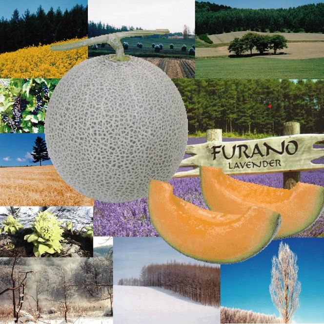 2026年夏発送【先行受付】 ふらのメロン 赤肉 秀大2玉 計4kg以上 富良野メロン 赤肉 めろん 北海道 甘い 大きい 果物 フルーツ