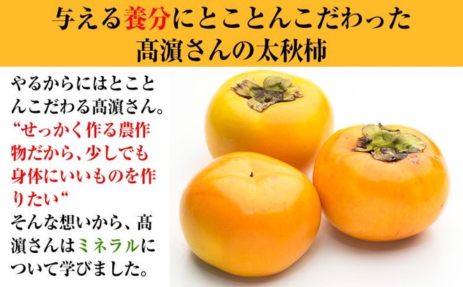 熊本県大津町産 タカハマ観光農園の太秋柿 約2.5kg《10月上旬-11月下旬頃出荷》---oz_thm_3_2500g---