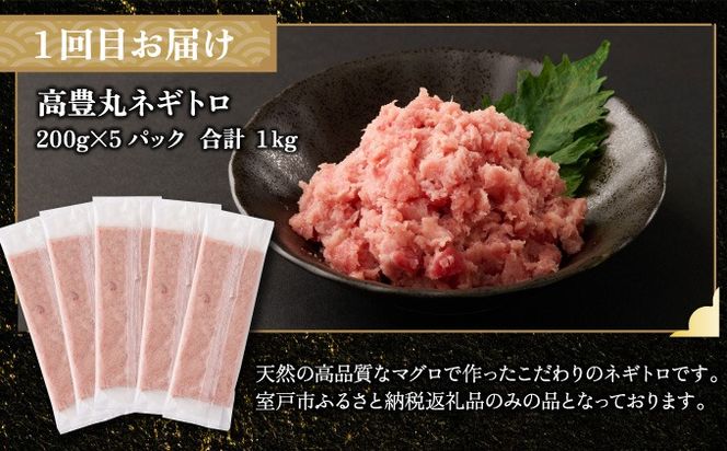 【全4回定期便】 タカシン水産厳選 高知の海鮮セット 定期便 福袋 海鮮 詰め合わせ タタキ まぐろ マグロ 本まぐろ ネギトロ かつお カツオ 鰹 かつおのたたき カツオタタキ たたき 魚介 高知 室戸 all!