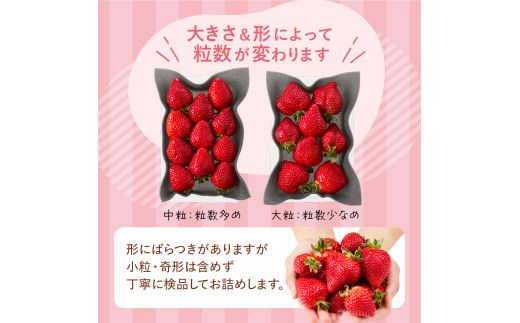 【先行予約】オーガニックあまおう 「いせいちご」 おまかせ4パック（MIX）【伊世いちご畑】_HA1018
