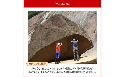 パックン岩トレッキング N002-YZC410