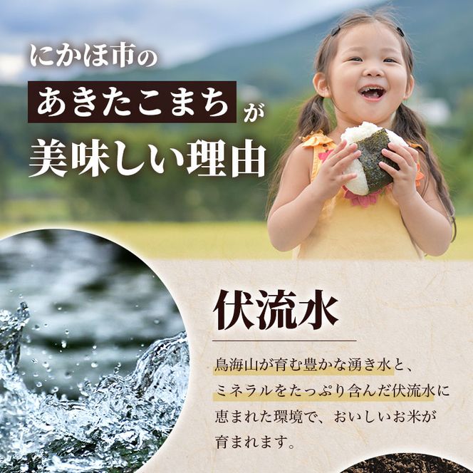 【新米先行予約 11月以降順次発送予定】 《定期便 6か月》4kg（2kg×2袋）×6ヶ月 秋田県産 あきたこまち 玄米 2kg×2袋 神宿る里の米「ひの米」【令和8年度産 玄米 秋田 にかほ】