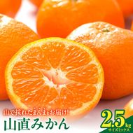 【2026年先行予約】みかん 山から直送 箱込 2.5kg ( 内容量 2.3kg ) 鮮度優先ごろごろ規格 和歌山県産 産地直送 【みかんの会】_MK1037