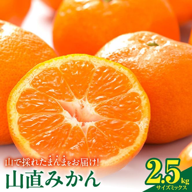 【2026年先行予約】みかん 山から直送 箱込 2.5kg ( 内容量 2.3kg ) 鮮度優先ごろごろ規格 和歌山県産 産地直送 【みかんの会】_MK1037