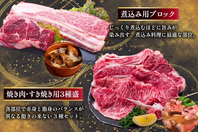 AJ671 【12回定期便】 長崎和牛 プレミアムコース [ 長崎和牛 定期便 和牛 お肉 肉 牛 牛肉 国産 ステーキ 焼肉 もも モモ バラ肉 スネ肉 ブロック ロース すき焼き しゃぶしゃぶ サーロイン カルビ ミンチ ひき肉 ヒレ トモサンカク シキンボ 水田精肉店 長崎県 島原市 ]
