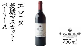 エピヌ　茨城マスカット・ベーリーA 750ml×1 茨城県産 牛久醸造場 日本ワイン ワイン お酒 贈り物 上品 果実 クリスマス 誕生日 赤ワイン 樽熟 マスカットベーリー 辛口 ライトボディ