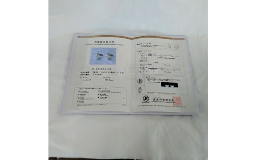 500-15伊勢志摩あこや本真珠イヤリング9mm花珠(真珠科学研究所鑑別書)