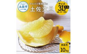 文旦 約10kg 家庭用 大玉 土佐文旦 高知 ぶんたん ブンタン 期間限定 数量限定 3Lサイズ 16～18個 果物 柑橘 フルーツ 高知県産 家庭用 ご自宅用 傷 美味しい