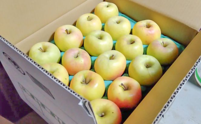 ぐんま名月 家庭用 約10kg りんご リンゴ 林檎 果物 フルーツ 長野県 長野 山ノ内町