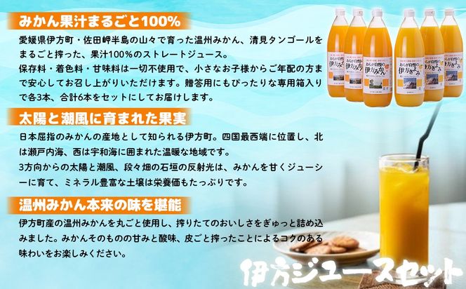 【先行予約】【愛媛県産】おらが自慢のジュースセット（1000ml×6本/みかん3、きよみ3） ストレート果汁100％ 無添加・無着色（2026年4月より順次発送） IKTI014