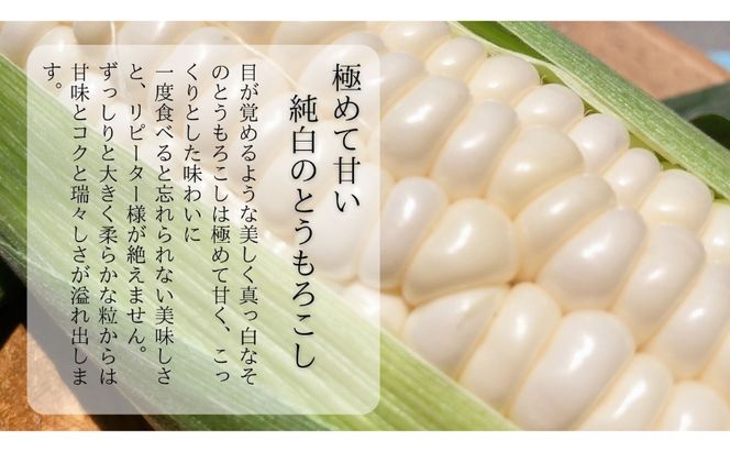 【先行予約】?極の?さと果汁 白いとうもろこし おすすめ コーン トウモロコシ 採れたて 新鮮 健康 ヘルシー 人気 厳選 袋井市
