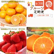 〈定期便〉【2・3・12月 全3回】紀州和歌山産旬のフルーツセット(まりひめ・紀州デコ・有田みかん)
