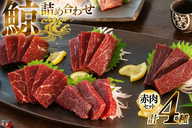 y茧szBJ148  ԓ 4lߍ킹 v740g ( ؂  w I )[  NW ~  ȒP ܂   쏤X 茧 s ]