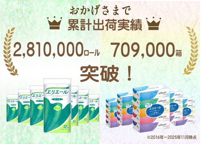 定期便 2ヵ月連続お届け エリエール 収納に便利 コンパクト 〈アソート〉 トイレットペーパー ティッシュ トイレ ボックスティッシュ まとめ買い ペーパー ひとり暮らし 紙 常備品 消耗品 日用品 生活必需品 定番