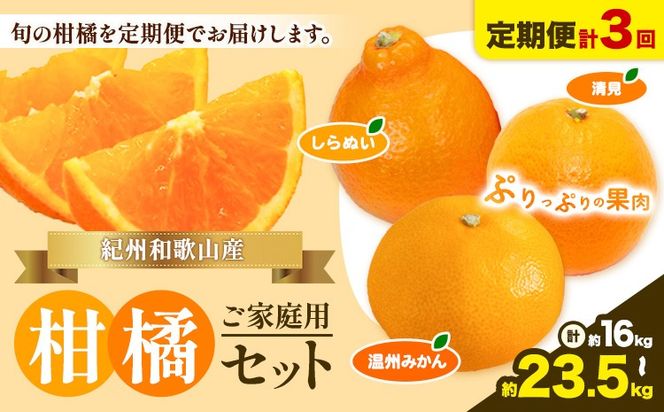 【発送月固定定期便】紀州 和歌山産 旬の ご家庭用 柑橘 セット (みかん 不知火 清見)【全３回】選べる 計16kg 計23.5kg 株式会社魚鶴《2027年1月上旬-4月上旬頃出荷》 和歌山県 日高川町 オレンジ 柑橘 蜜柑 果物 訳あり 送料無料 定期便---wshg_uotteik2_25_36000_mo3num1---