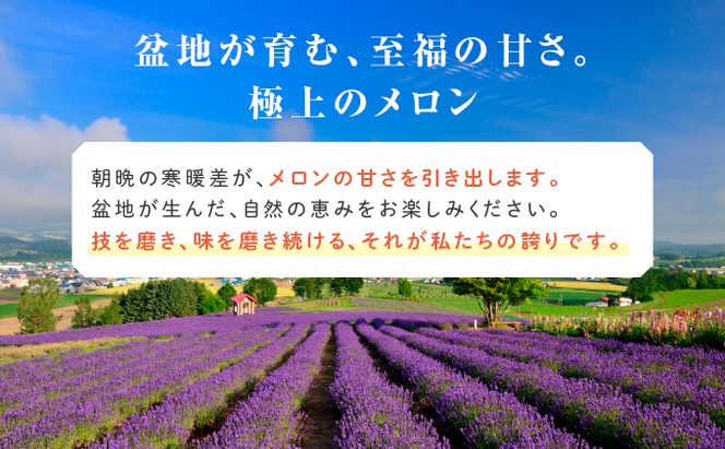 【2026年6月発送】ふらの 赤肉メロン 2玉入 計4kg前後 (相馬農園) メロン フルーツ 果物