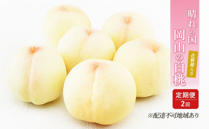 桃 定期便 2026年 先行予約 晴れの国 岡山 の 白桃 ×2回 お届け 1回目 白桃 6玉（1玉250g以上）／2回目 白桃 6玉（1玉300g以上） 化粧箱入り もも モモ 岡山産 国産 フルーツ 果物 ギフト