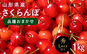FYN6-251 ≪2026年先行予約≫山形県産 さくらんぼ 品種おまかせ(佐藤錦・紅秀峰など) 1kg(500g×2) 秀/L以上 バラパック詰め 2026年6月中旬頃より発送 果物 くだもの フルーツ 夏果実 サクランボ チェリー 桜桃 高級 化粧箱 ギフト箱 贈り物 贈答 ギフト プレゼント 自宅 家庭 産地直送 山形県 西川町 月山