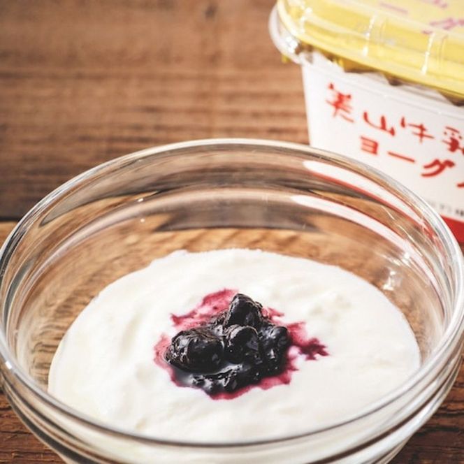 美山牛乳 ヨーグルト 詰め合わせセット | ミルク ミルク珈琲 乳製品 セット 南丹市
