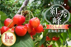 【2026年産 先行予約】＜北海道余市産＞さくらんぼ「紅秀峰」（M～2Lサイズバラ詰め）500g×2パック_Y103-0054