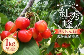 【2026年産 先行予約】＜北海道余市産＞さくらんぼ「紅秀峰」（M～2Lサイズバラ詰め）500g×2パック_Y103-0054