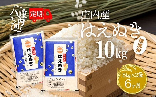 ＜4月中旬発送＞庄内米6か月定期便！はえぬき無洗米10kg（入金期限：2025.3.25）