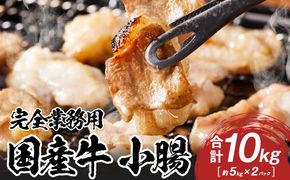 《完全業務用》国産牛　小腸　10kg 372013_HM183