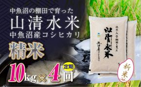 【令和8年産 新米】 【定期便／全4回】精米10kg 新潟県魚沼産コシヒカリ「山清水米」