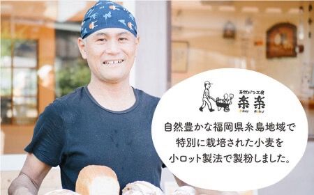 【全3回定期便】特別栽培 小麦 使用 伊都 の みのり( 500g × 2袋 )糸島市 / 天然パン工房楽楽【いとしまごころ】 [AVC066] 小麦 小麦粉 強力 強力粉  特別栽培 パン ぱん ブラン