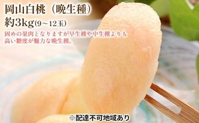 固めの 桃 2026年 先行予約 白桃 晩生種 3kg 9～12玉 もも モモ 岡山 国産 フルーツ 果物 ギフト 桃茂実苑