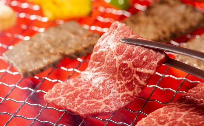 定期便 6回 訳あり ロース カルビ 焼肉 切り落とし 1kg（500g×2p）A4～A5 博多和牛 配送不可 離島 お肉 牛肉 おうち焼肉 厳選部位 とろける 柔らかい 
