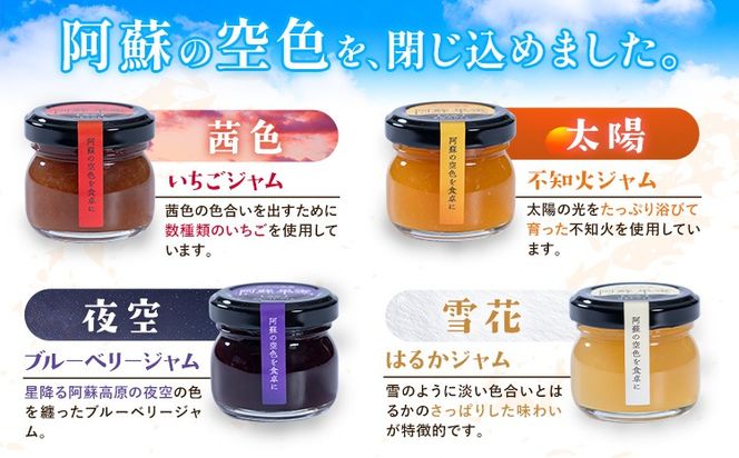 阿蘇果蜜ジャム4種セット 35g×4本 木之内農園 ジャム《30日以内に出荷予定(土日祝を除く)》 熊本県南阿蘇村 ジャム いちご ブルーベリー はるか 不知火 苺 大粒 乗せるジャム---isms_kinoaskmt_30d_r7_7000_4p---