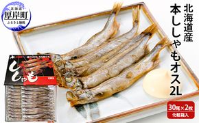 北海道産 本ししゃも オス2Lサイズ 30尾×2枚 化粧箱入 (合計60尾入り) 魚貝類 海鮮 海の幸 魚 魚料理 夕飯 夜ごはん おかず 食材 つまみ お酒のあて 肴 国産 国産シシャモ 