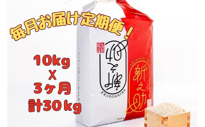 【通年受付】令和7年産魚沼産新之助　精米10kg（5kgx2袋）全3回 十日町市 十日町 米 