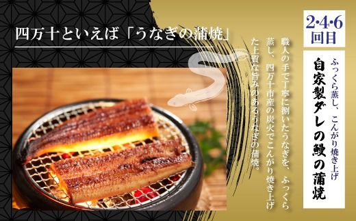 6回 定期便 うなぎ の 蒲焼 と 鰹のタタキ 月替わり 定期便 冷凍 海の幸 川の幸 川魚 魚 魚介 かつお カツオ 鰹 藁焼き たたき タタキ ウナギ 鰻 鰻の蒲焼 ご当地 グルメ ごちそう 総菜 おかず 四国 高知 四万十 しまんと 新鮮 25-847