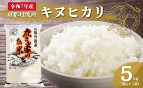 令和7年産 京都丹波産キヌヒカリ 5kg 米 ごはん きぬひかり