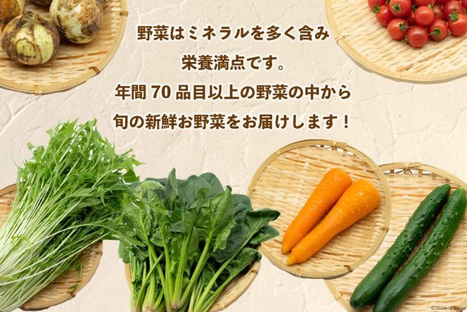 AI022【10～5月限定出荷】こむたの旬の野菜つめあわせ(8～10品目)おまかせ M セット 【 野菜 やさい 旬 種類 人気 オススメ 新鮮 詰め合わせ こむた 小無田 青果 長崎県 島原市 】