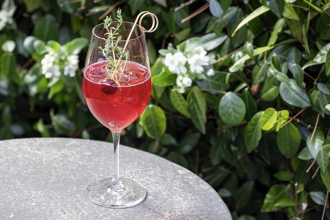 【MR.MAURICE’S ITALIAN （エースホテル京都）】ペアランチまたはディナー食事券≪乾杯ドリンク付≫ ［ 京都  食事  ランチ ディナー 人気 おすすめ  グルメ チケット 割引 ふるさと納税 ］ 261009_A-LA071