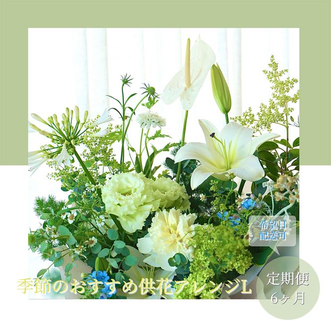 【CF-R7hbk】t176tmf　《6ヵ月定期便》生花アレンジ お供え 供花L 定期便 定期コース 全6回 フラワーアレンジメント そのまま飾れる お供え 花束 生花 仏花 供花 花束 はな 花 法要 お盆 季節のお花 供花 お供え
