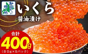020C397 【特別寄附金額】いくら 醤油漬け 400g【小分け 80g×5P イクラ 北国からの贈り物 ikura 醤油仕立て 冷凍 高評価】