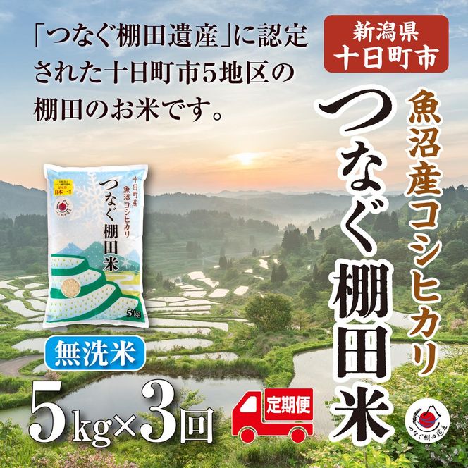 【令和8年産 先行予約】【定期便／全3回】無洗米5kg　新潟県十日町市魚沼産コシヒカリ「つなぐ棚田米」 米 こしひかり 無洗米 定期 十日町市