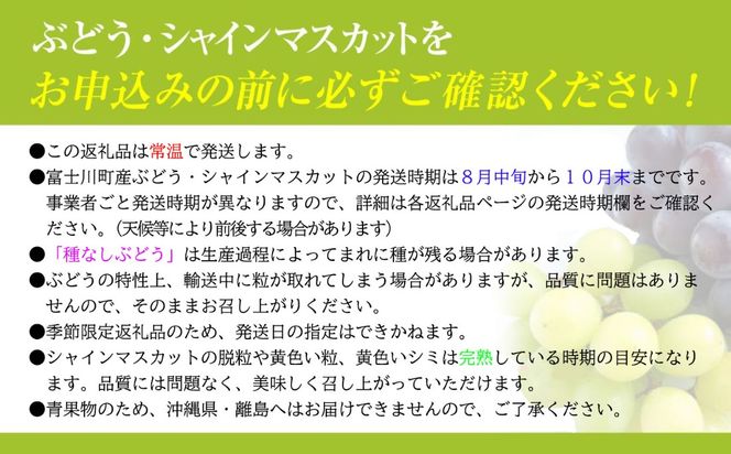 【2026年発送分 先行予約】頬張る幸福感　～緑の宝石・シャインマスカット～　１．５ｋｇ以上（２～３房） フルーツ 山梨県産 果物 シャイン マスカット ぶどう ブドウ 大粒 種なし 種無し 先行予約 富士川町
