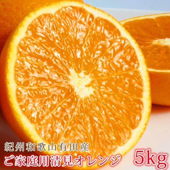 ［ご家庭用訳あり］紀州有田産清見オレンジ 約5kg［2027年3月下旬以降発送］［先行予約］［UT132w］AN058