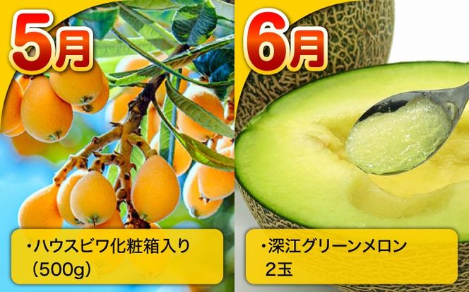 【12回定期便】長崎・南島原グルメ バラエティ定期便 / バラエティ セット 野菜定期便 フルーツ定期便 フルーツ 果物 野菜 やさい そうめん 角煮 皿うどん ちゃんぽん / 南島原市 / 贅沢宝庫[SDZ038]