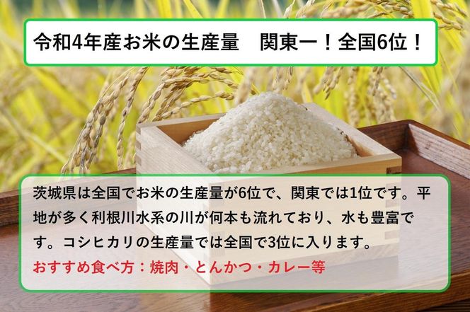 【無洗米】令和7年産茨城コシヒカリ 5kg