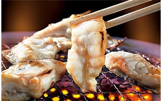 玄品川崎限定！香がらし付き ふぐ鍋＆焼きふぐコースお食事券1名様分