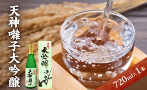 天神囃子大吟醸 720ml　日本酒 酒 お酒 お取り寄せ 贈り物 ギフト 新潟県 十日町市