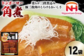 角煮 トンポーロー 115g×12袋 [日本ハムマーケティング 宮崎県 日向市 452061287] 小分け 個包装 レトルト とろとろ おつまみ 惣菜 簡単 手軽