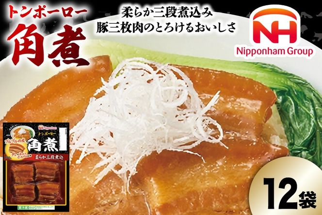 角煮 トンポーロー 115g×12袋 [日本ハムマーケティング 宮崎県 日向市 452061287] 小分け 個包装 レトルト とろとろ おつまみ 惣菜 簡単 手軽